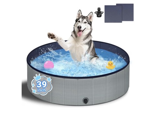 Dog paddling pool - paddling, small