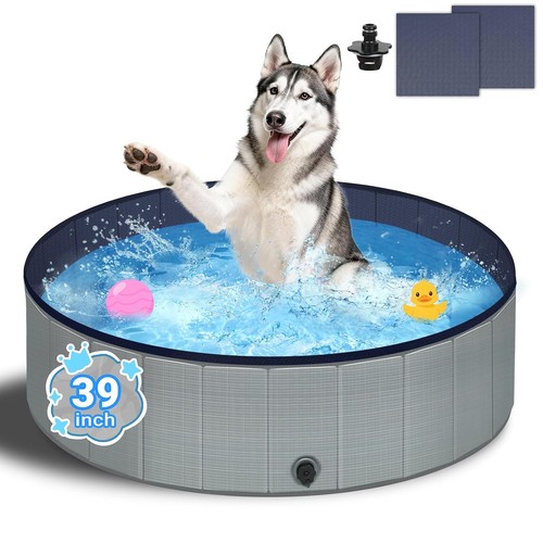 Dog paddling pool for - dog,